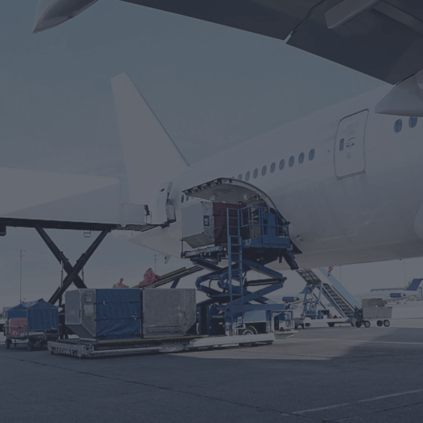 Joo - Niche Multi-Purpose HTML Template