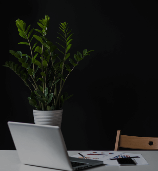 Joo - Niche Multi-Purpose HTML Template